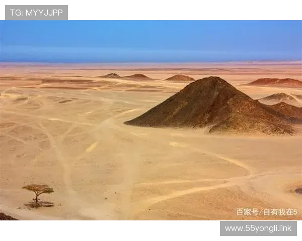 非洲在线直播：探索神秘大陆的实时互动之旅